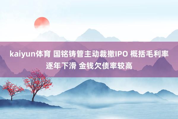 kaiyun体育 国铭铸管主动裁撤IPO 概括毛利率逐年下滑 金钱欠债率较高