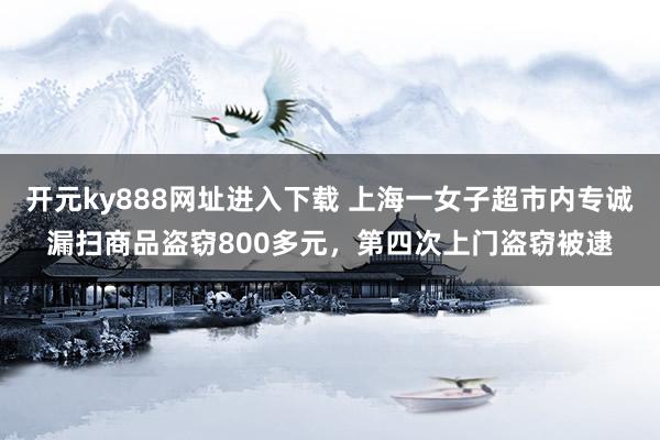 开元ky888网址进入下载 上海一女子超市内专诚漏扫商品盗窃800多元，第四次上门盗窃被逮