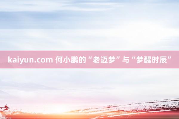 kaiyun.com 何小鹏的“老迈梦”与“梦醒时辰”