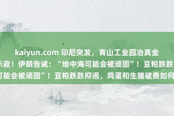 kaiyun.com 印尼突发，青山工业园冶真金不怕火炉爆炸致13东谈主示寂！伊朗告诫：“地中海可能会被顽固”！豆粕跌跌抑遏，鸡蛋和生猪破费如何？