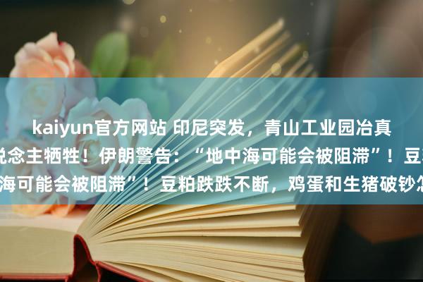 kaiyun官方网站 印尼突发，青山工业园冶真金不怕火炉爆炸致13东说念主牺牲！伊朗警告：“地中海可能会被阻滞”！豆粕跌跌不断，鸡蛋和生猪破钞怎样？