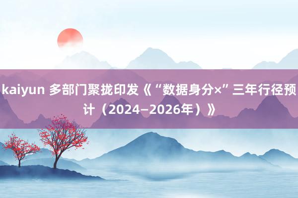 kaiyun 多部门聚拢印发《“数据身分×”三年行径预计（2024—2026年）》