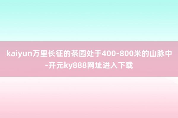 kaiyun万里长征的茶园处于400-800米的山脉中-开元ky888网址进入下载