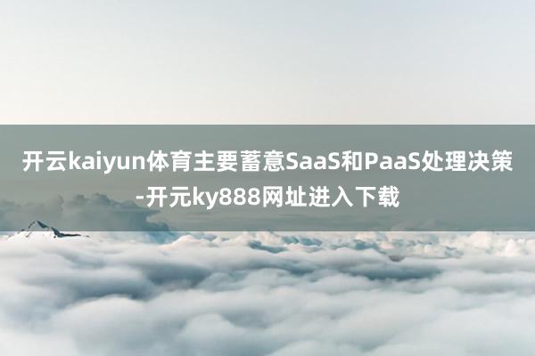 开云kaiyun体育主要蓄意SaaS和PaaS处理决策-开元ky888网址进入下载